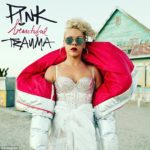 Imagem do post P!nk também irá se apresentar no Super Bowl 2018, ela cantará o hino nacional!